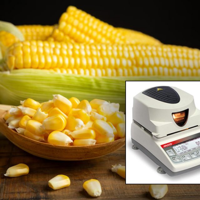 Wagosuszarka Axis: Szybkie i precyzyjne wyznaczanie wilgotności próbek kukurydzy